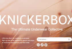 Ann Summers - Knickerbox coming soon